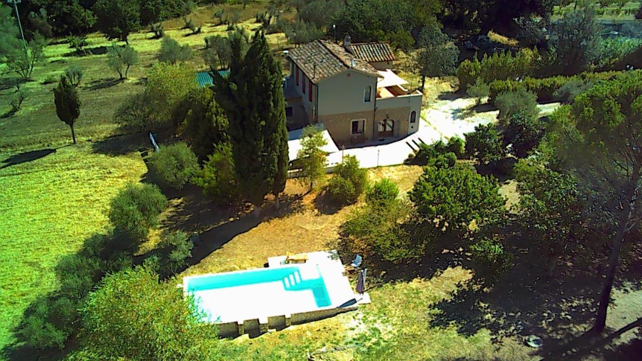 Le Giuncaie - Vigna Con Alloggio Montescudaio Exterior photo